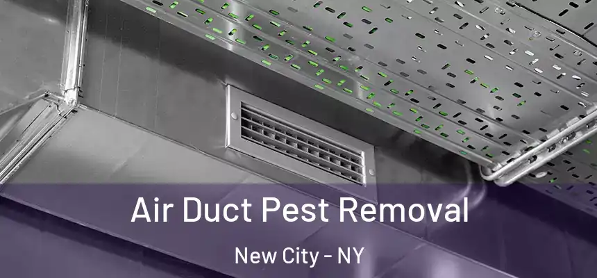Air Duct Pest Removal New City - NY