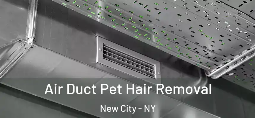 Air Duct Pet Hair Removal New City - NY