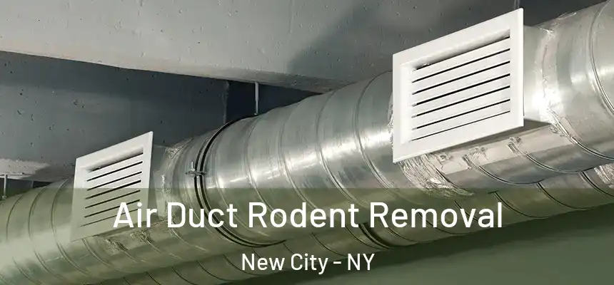 Air Duct Rodent Removal New City - NY