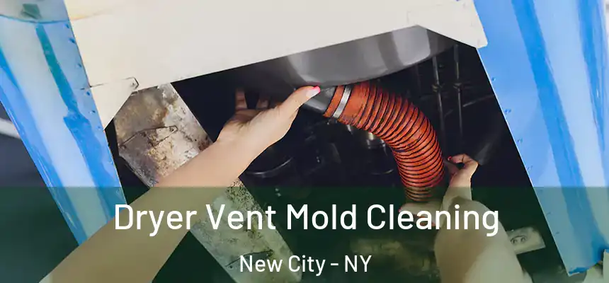  Dryer Vent Mold Cleaning New City - NY