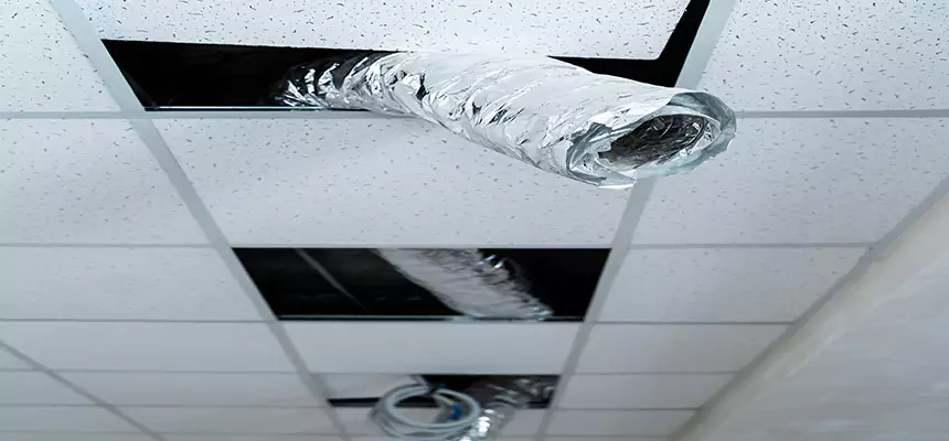 Our Air Duct Pet Hair Removal Services in New City, NY