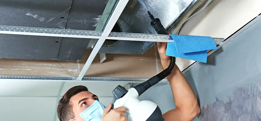 Our Air Duct Rodent Removal Services in New City, NY