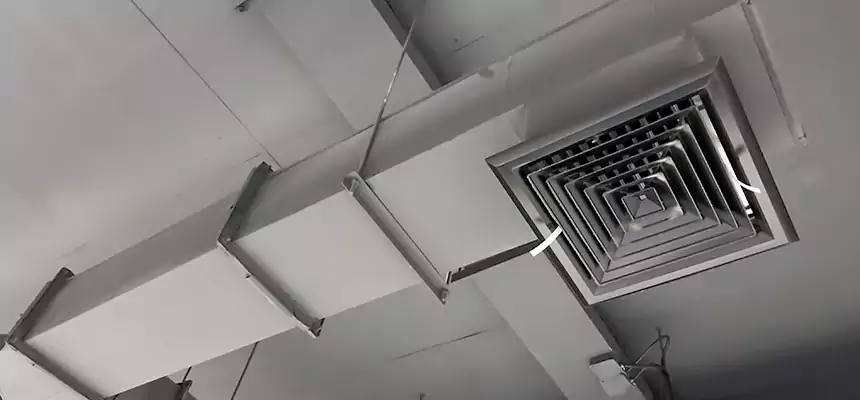 Our Rodent Droppings In Vents Services in New City, NY