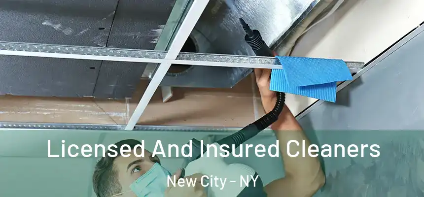  Licensed And Insured Cleaners New City - NY