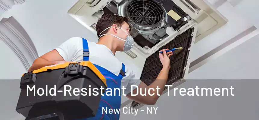  Mold-Resistant Duct Treatment New City - NY