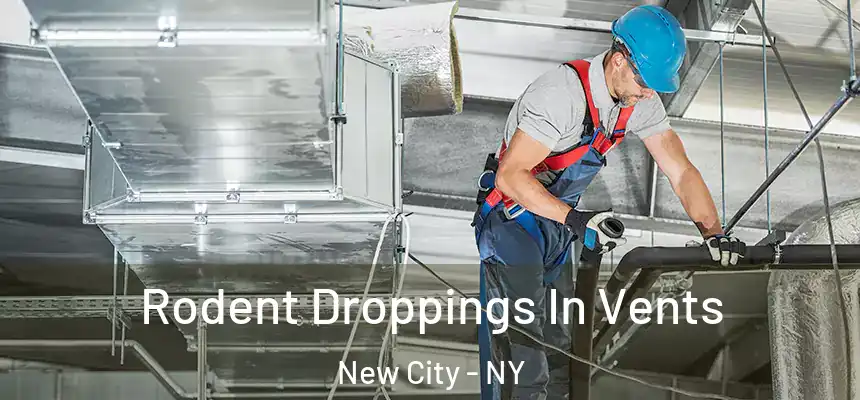  Rodent Droppings In Vents New City - NY