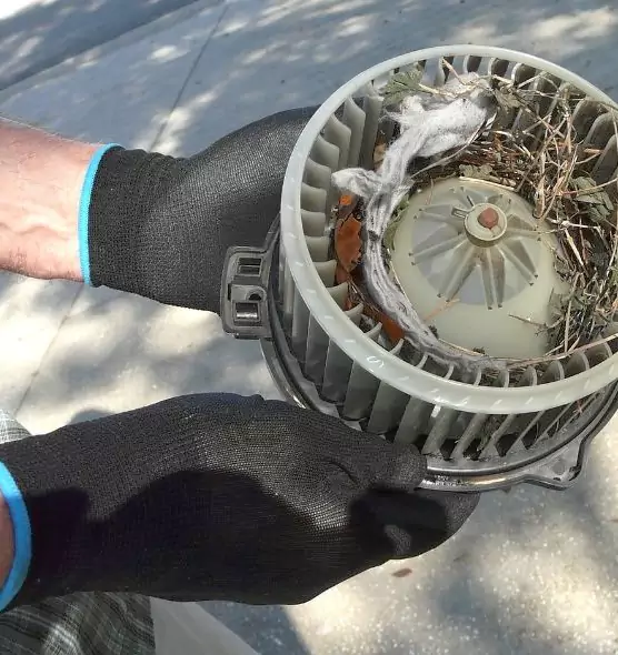 About Air Duct Rat Removal in New City, NY