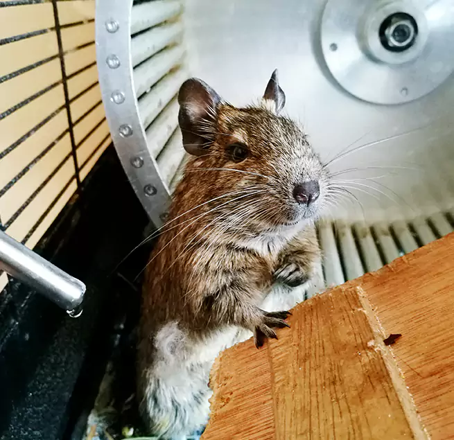 Why Homeowners & Businesses Trust Us New City, NY