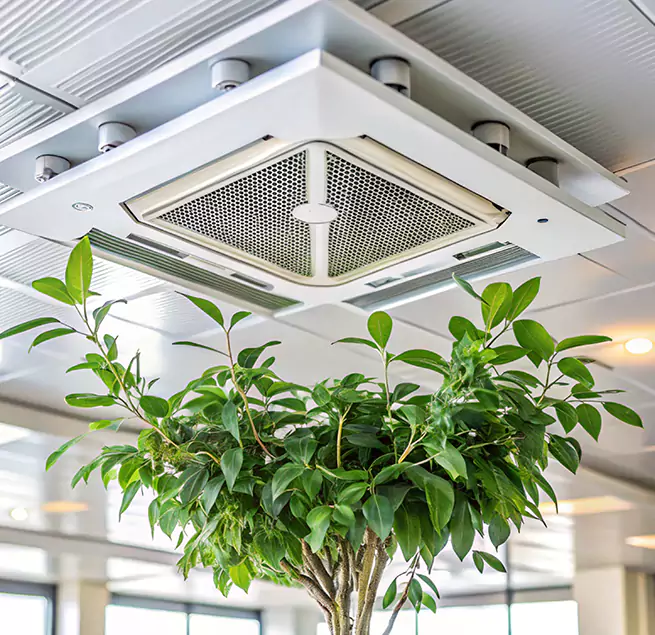 Why Homeowners & Businesses Trust Us in New City, NY